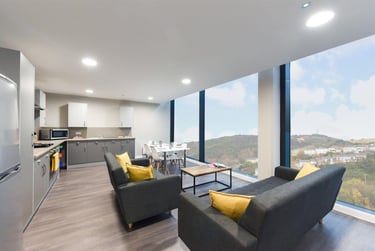 1 bed flat, New Cut Road, City Centre, Swansea, SA12DN - Image 4